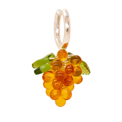 Apricot Jelly Korvakorut Hopea