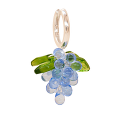 Blueberry Jelly Korvakorut Hopea