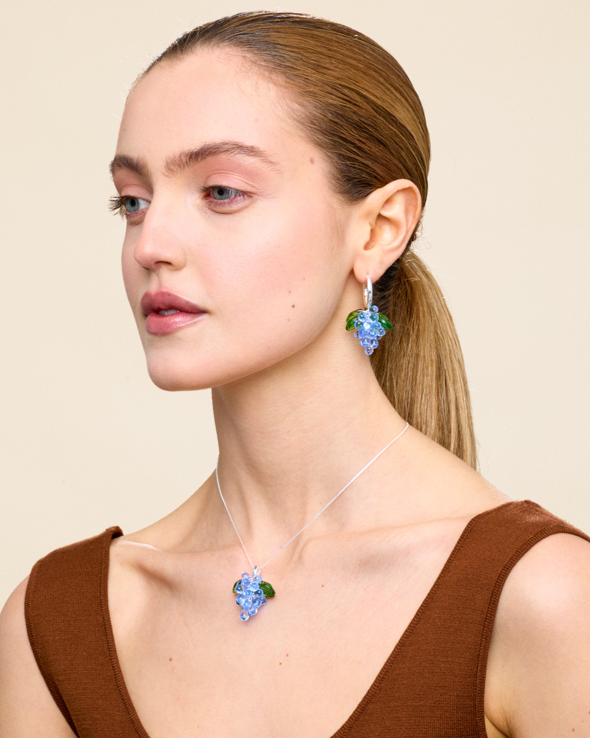 Blueberry Jelly Korvakorut Hopea