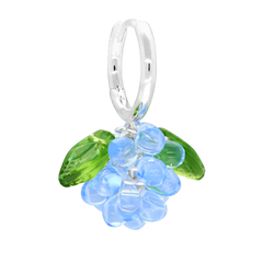 Mini Blueberry Jam Korvakorut Hopea