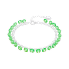 Tropical Tang Bracelet in Silver