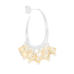 Vanilla Whip Korvakorut Hopea